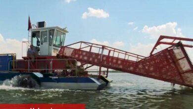 Mogan Gölü yeniden hayat buldu