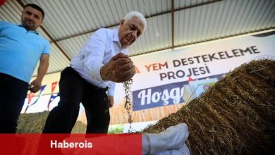 Muğla Büyükşehir Belediyesi Kaba Yem Desteği projesi ile piyasa değeri yaklaşık 3 Milyon TL olan kaba yemi üreticilere dağıtıyor