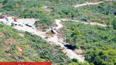 Muğla'dan 'Akbelen' açıklaması - Haberois Muğla'dan 'Akbelen' açıklaması