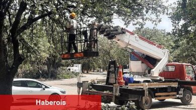 Ören'de Anıt Ağaçlar Rehabilite Ediliyor - Haberois Ören'de Anıt Ağaçlar Rehabilite Ediliyor