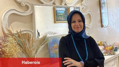 Sanatın Sınırlarını Aşan Eğitim: Amine Sultan Tan'ın Online Yağlı Boya Dersleri