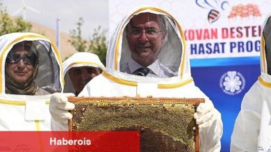 Selçuklu Belediyesi'nin destekleri ile pilot bölge Eğribayat Mahallesi'nde gerçekleştirilen arıcılık faaliyetleri kapsamında ilk bal hasadı gerçekleştirildi