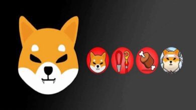 Shiba Inu İçin Son Dakika: Blok Üretimi Tekrar Başladı!