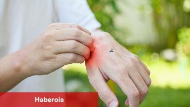 Sivrisinek Isırmasından Sonra Yüksek Ateş Ve Eklemlerde Ağrı Varsa Mutlaka Doktorunuza Danışın - Haberois Sivrisinek Isırmasından Sonra Yüksek Ateş Ve Eklemlerde Ağrı Varsa Mutlaka Doktorunuza Danışın