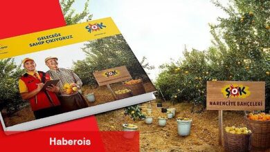 ŞOK Marketler 6. Sürdürülebilirlik Raporu'nu yayınladı - Haberois ŞOK Marketler 6. Sürdürülebilirlik Raporu'nu yayınladı