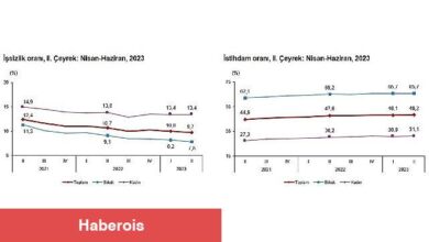 TÜİK: İşgücü İstatistikleri, II. Çeyrek: Nisan - Haziran, 2023