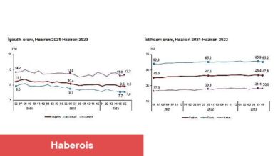 TÜİK: Mevsim etkisinden arındırılmış işsizlik oranı %9,6 seviyesinde gerçekleşti