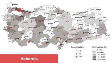 TÜİK: Türkiye'de 2022 yılında 2 milyon 791 bin 156 kişi iller arasında göç etti