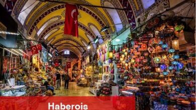 TÜİK verilerine göre 2022'de istihdamda en yüksek pay hizmet sektörünün oldu