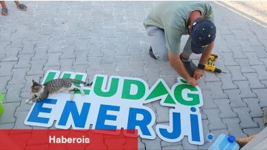 Uludağ Enerji, Hatay Kampüsünde Sokak Hayvanlarını Yalnız Bırakmadı