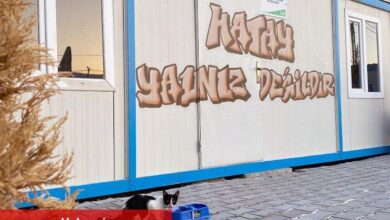 Uludağ Enerji sokak hayvanlarını afet bölgesinde de unutmadı