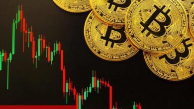 Ünlü Analist, Bitcoin İçin Yüzde 50 Düşüş Bekliyor!