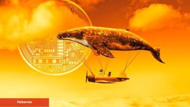 Ünlü Balina Bu Altcoin İçin Israrcı! Yeniden Binlerce Satın Aldı