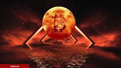 Ünlü Ekonomist Uyardı: Grayscale’in Zaferi Bitcoin İçin Düşüştür!