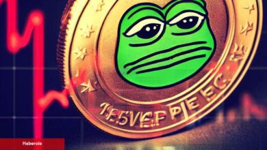 Ünlü Türk Kripto Borsasına Milyonluk PEPE Aktı! Fiyat Eriyor