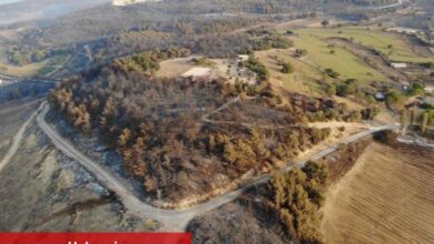 Yangınlar kontrol altına alındı - Haberois Yangınlar kontrol altına alındı