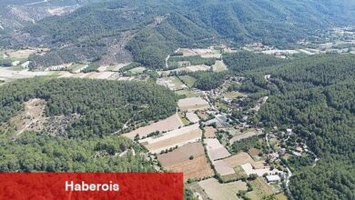 Yatırımcıların odağında arsa piyasası yer alıyor