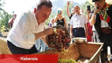 Antalya Gastronomi Festivali'nin İkinci Gününde Mor Üzüm Hasadı