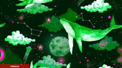 Binance Balinaları Durmuyor: Bu Sefer Odakta O 5 Altcoin Var! - Haberois Binance Balinaları Durmuyor: Bu Sefer Odakta O 5 Altcoin Var!