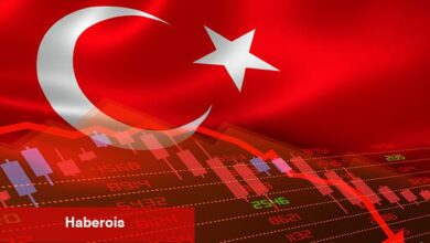 Bu Hafta Türk Yatırımcıların Gözdesi O 9 Altcoin Oldu! - Haberois Bu Hafta Türk Yatırımcıların Gözdesi O 9 Altcoin Oldu!