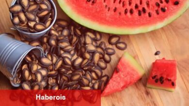 Çekirdeklerin Sıhhate Tesirleri