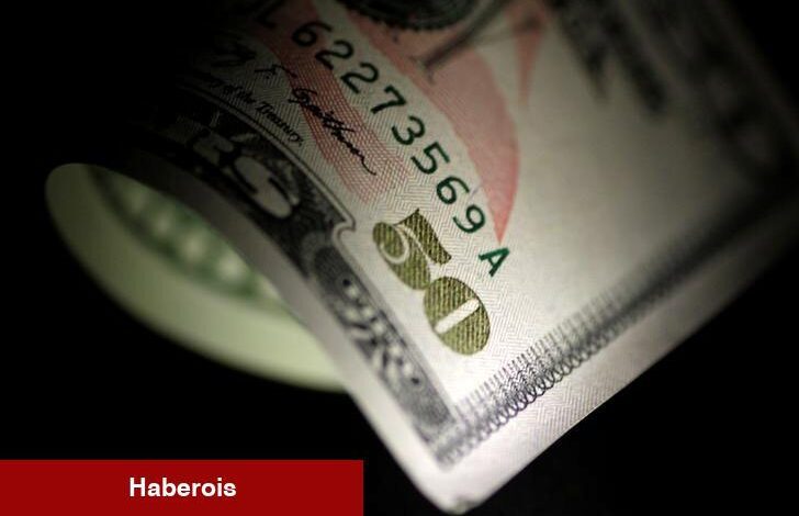 Dolar/TL'de hafif yükseliş gözleniyor