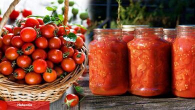 Domates nasıl seçilir? Menemenlik domates nasıl seçilir? Konserve domates için 6 püf noktası