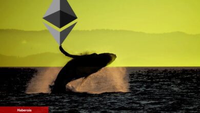 En Büyük 2. Ethereum Balinasının Kimliği Ortaya Çıktı!