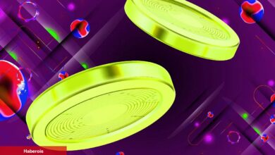 Gözden Kaçan Bu 2 Altcoin’e Dikkat: Sessizce Yükseliyor!