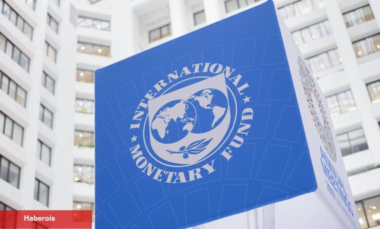 IMF Yetkilisi Konuştu: Faiz Oranları Bir Müddet Yüksek Kalacak