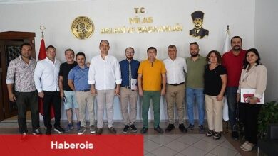 Milas'ta 12 bin bina tek tek incelenecek - Haberois Milas'ta 12 bin bina tek tek incelenecek