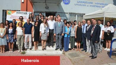 Sürdürülebilir Çevre Yaklaşımı ile Sucul Toksisite Test Modelleri - Haberois Sürdürülebilir Çevre Yaklaşımı ile Sucul Toksisite Test Modelleri