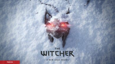 Yeni The Witcher Oyunu Üzerinde Şu Anda Yaklaşık 260 Kişi Çalışıyor