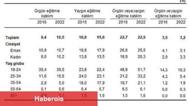 Yetişkinlerin örgün veya yaygın eğitime katılım oranı yüzde 22,9 oldu