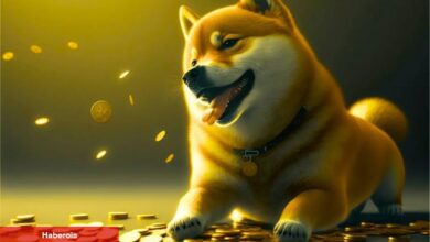 10 Milyon Dolarlık Göğüs Coin Faciası: Ezkaza Coin Yaktılar!