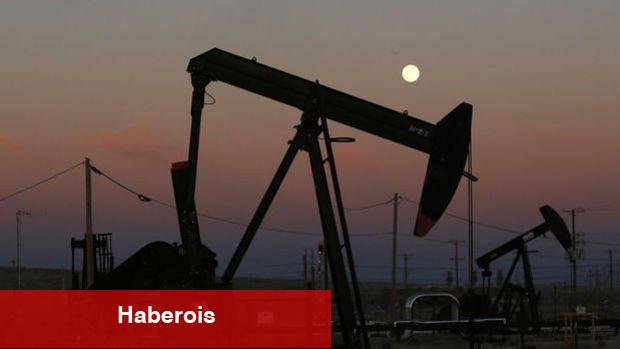 ABD'nin ham petrol üretimi soğuk havanın tesirinde