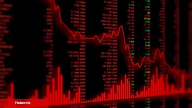 Analist Uyardı: Bu 2 Göğüs Coin Çökebilir, Uzak Durun!