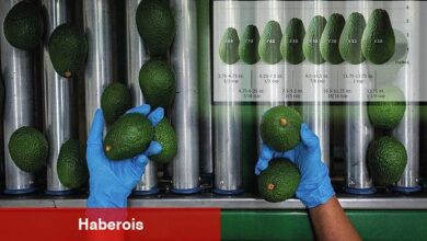 Bakan Böcek tarımda istihdamı arttıracak projeler ile geliyor