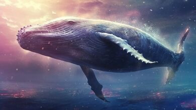 Balinalar Binance’daki O Altcoin’e Saldırdı: Fiyat Tepeyi Gördü! - Haberois Balinalar Binance’daki O Altcoin’e Saldırdı: Fiyat Tepeyi Gördü!