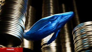 Balinalar Kâr Alıyor: RNDR Coin ve Bu 3’ü Binance’e Boşaltılıyor!