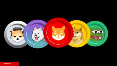 Balinalar Ralli Yapan O Göğüs Coin’i Borsalara Boşaltıyor! 628x Yapan da Var!