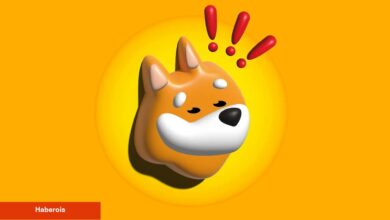 Binance de Duyurdu: BONK, WIF ve O 12 Coin İçin 8 Borsadan Listeleme Müjdesi! - Haberois Binance de Duyurdu: BONK, WIF ve O 12 Coin İçin 8 Borsadan Listeleme Müjdesi!