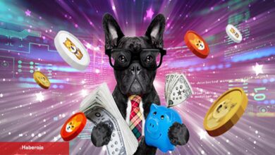 Bir Trader 4 Göğüs Coin İle Rekor Kar Etti: CryptoQuant CEO’su Rahatsız! - Haberois Bir Trader 4 Göğüs Coin İle Rekor Kar Etti: CryptoQuant CEO’su Rahatsız!