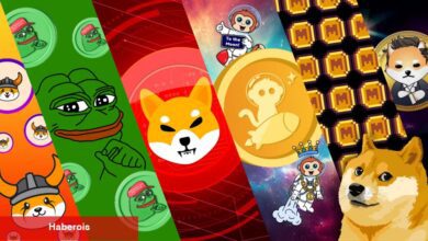 Bitcoin ile Göğüs Coinler de Yıkıldı! İşte En Çok Düşen 5’li