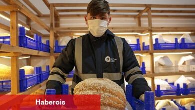 Büyükşehir'den tarımda biyolojik mücadele - Haberois Büyükşehir'den tarımda biyolojik mücadele