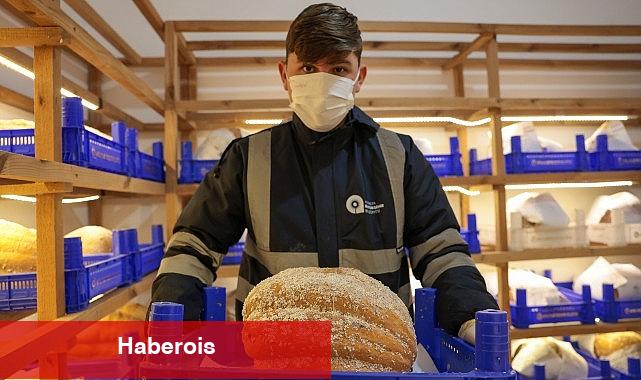 Büyükşehir'den tarımda biyolojik mücadele - Haberois Büyükşehir'den tarımda biyolojik mücadele