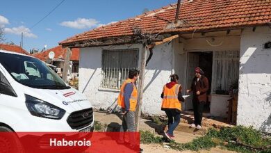 Büyükşehir'in Halk Mama desteği devam ediyor