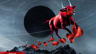 Coinbase, Bu Altcoin’lerdeki Ralliye Karşı Uyardı! - Haberois Coinbase, Bu Altcoin’lerdeki Ralliye Karşı Uyardı!