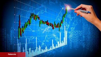 Deneyimli Analist: Bu 4 Kripto Para Yükselişe Hazırlanıyor!