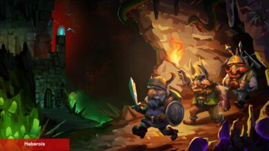 Dwarf Fortress'ın Yaratıcısı, Kesime Epey Yansılı